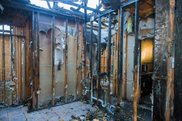 Professional Fire Damage Removal technician working in Houston, TX